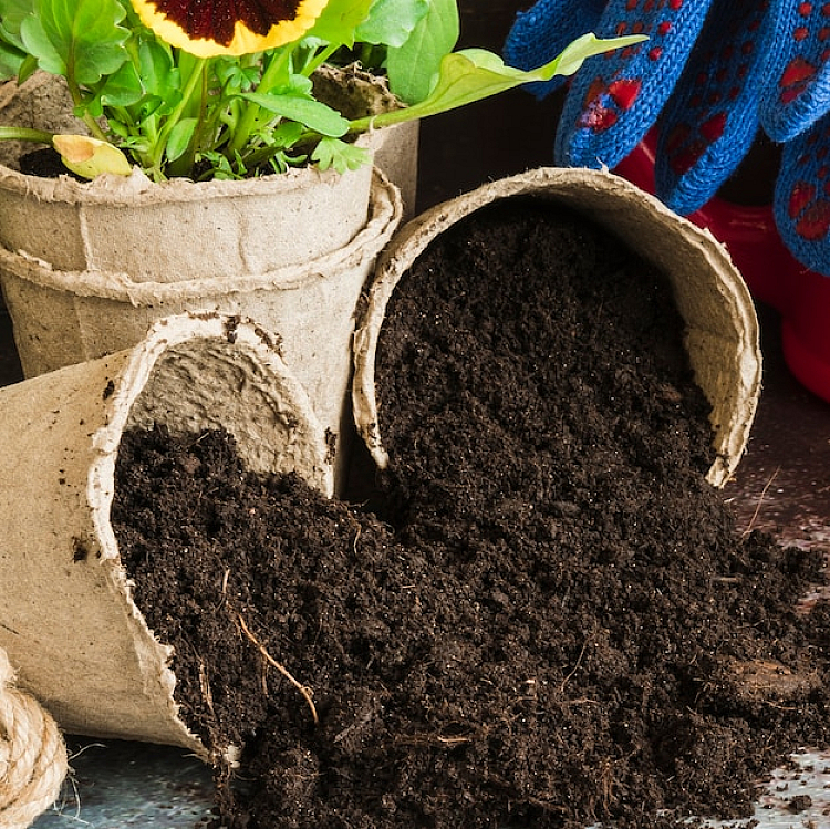 Where to Buy Quality Fertilizers Online: A Sh..