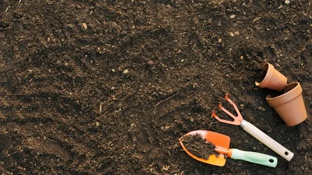 19-19-19 Fertilizer: The Simple Way to Balanc..