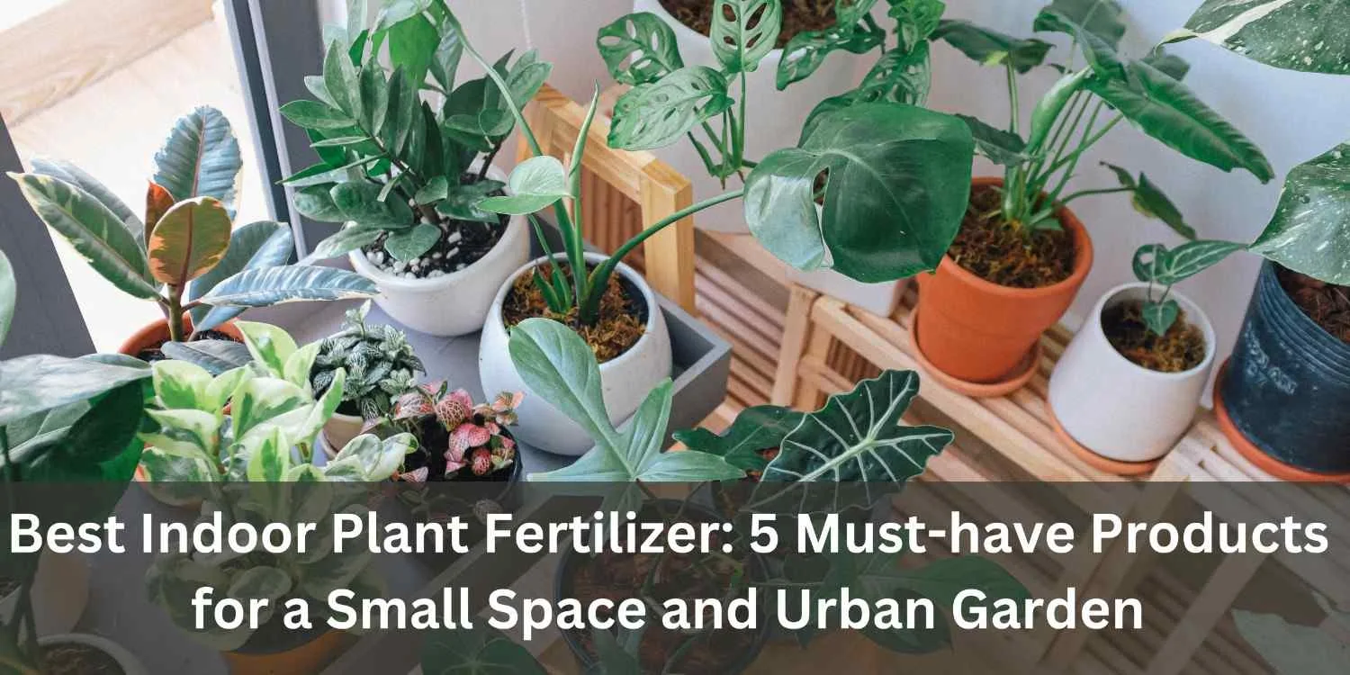 Best Indoor Plant Fertilizer: 5 Must-have Pro..