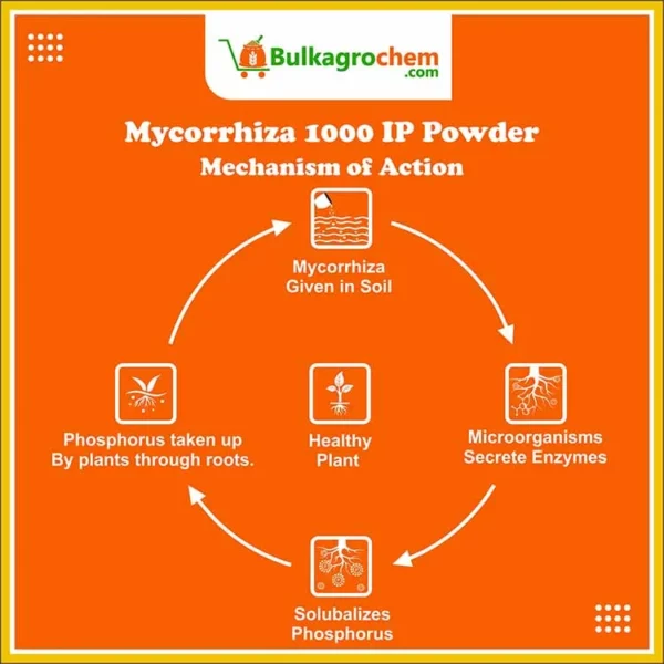 Mycorrhiza 1000 IP Powder-info