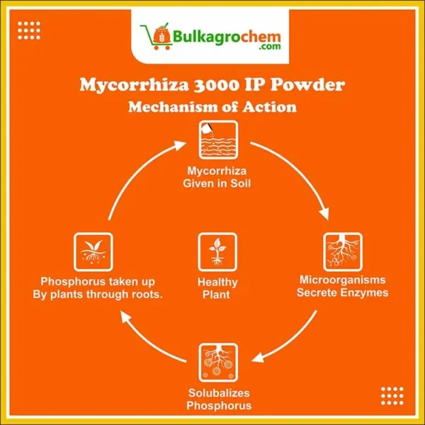 Mycorrhiza 3000 IP Powder-more-info