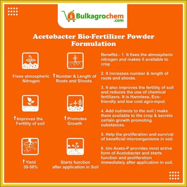 Acetobacter Bio-Fertilizer Powder Formulation(Water Insoluble)-3