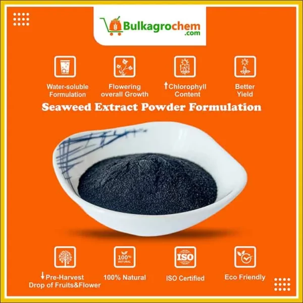Seaweed Extract Powder Formulation-info