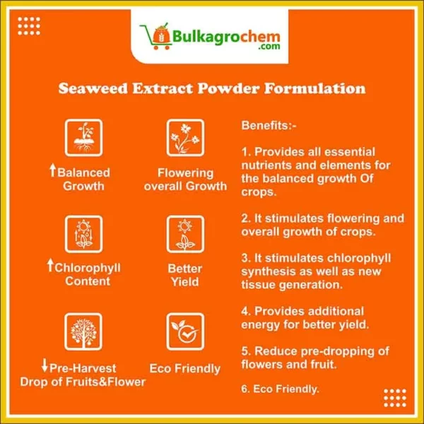 Seaweed Extract Powder Formulation-information